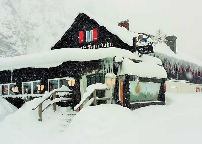 Gasthof Auerhahn